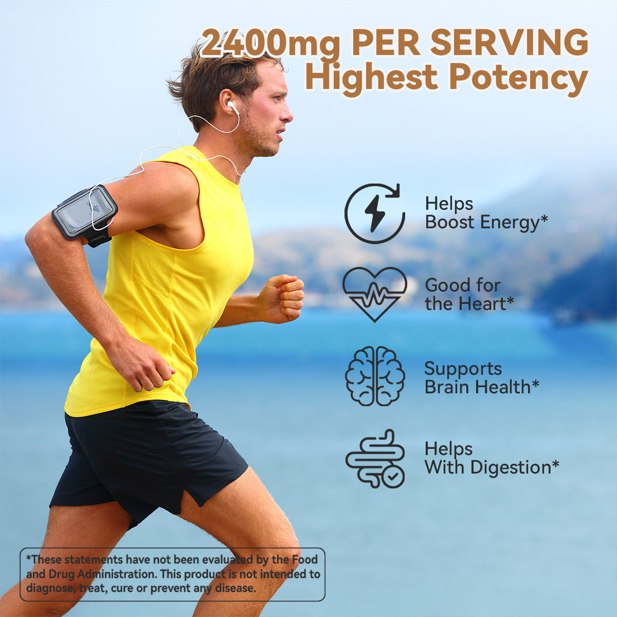 LECITHIN