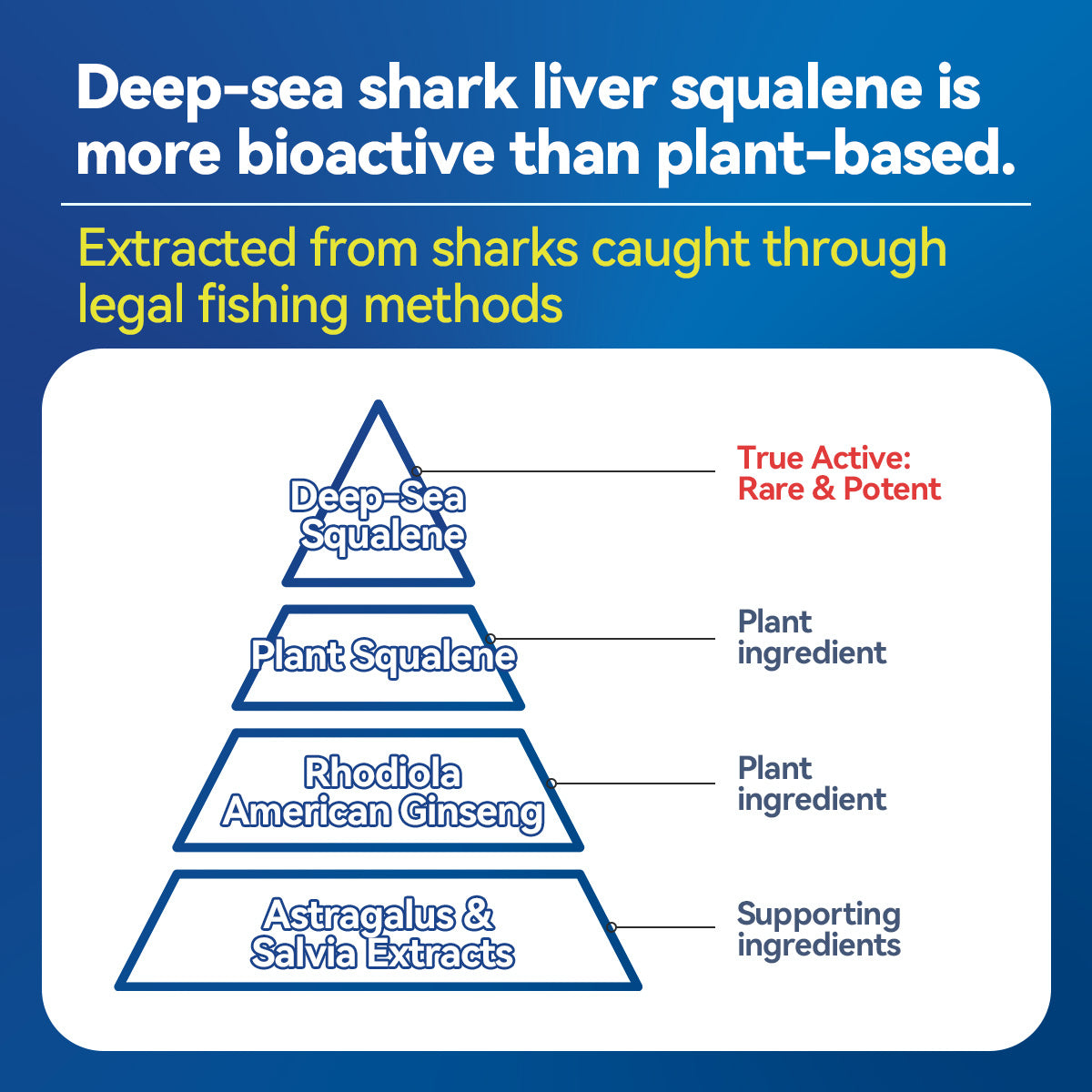 SQUALENE